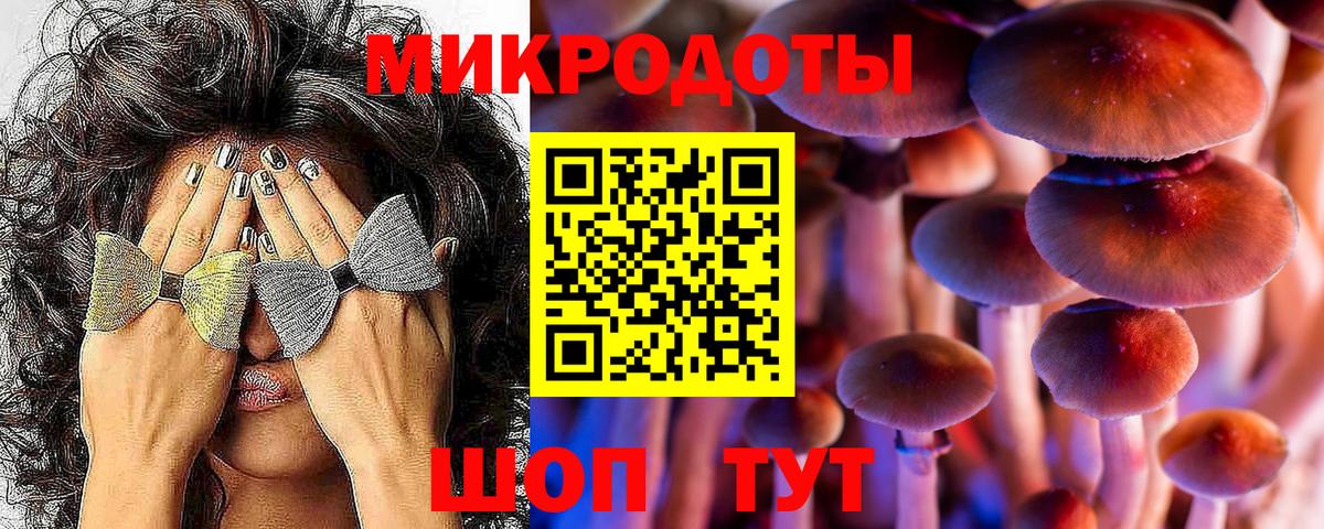 Галлюциногенные грибы Psilocybine cubensis  Вход с VPN  Южноуральск 